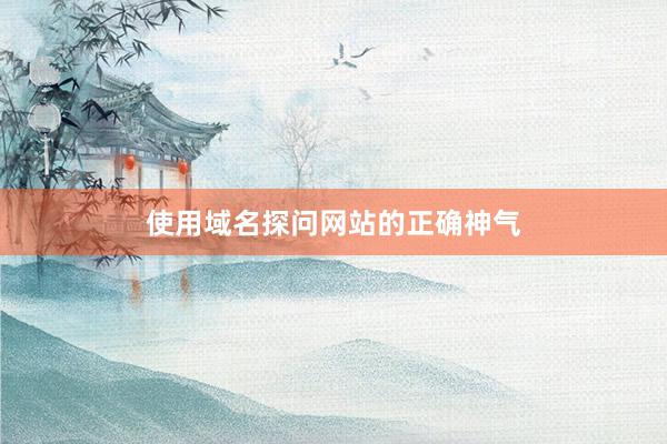 使用域名探问网站的正确神气