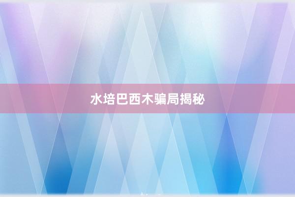 水培巴西木骗局揭秘